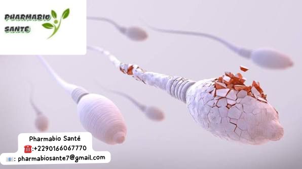 Fertilité masculine Solutions Naturelles