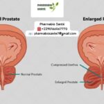 Prostate Solutions Naturelles Plantes