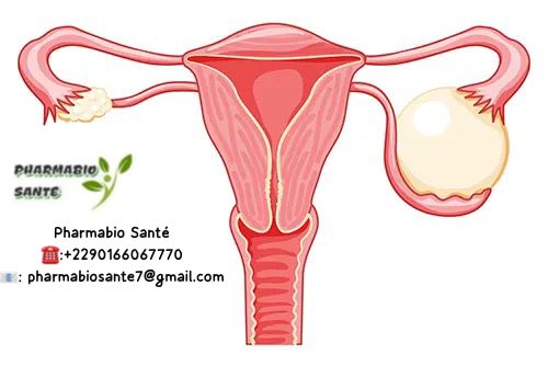 kystes ovariens traitement naturel