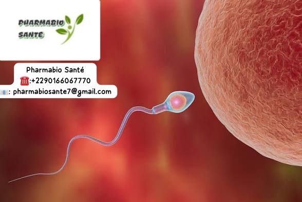 Traitement naturel de l'hypospermie