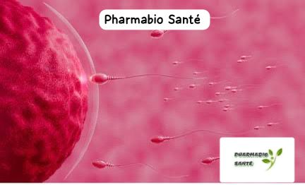 solutions naturelles Hyperspermie